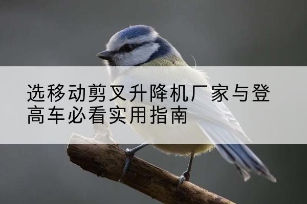 山丹电动升降机厂家-选移动剪叉升降机厂家与登高车必看实用指南