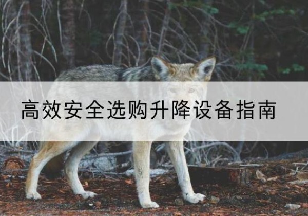 山丹升降货梯厂家推荐-*安全选购升降设备指南